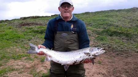 Salmon from River Eden