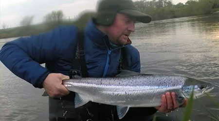 Salmon from River Eden