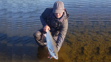 Salmon from River Eden