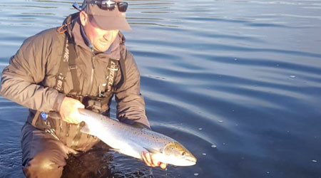 Salmon from River Eden