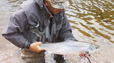 Salmon from River Eden